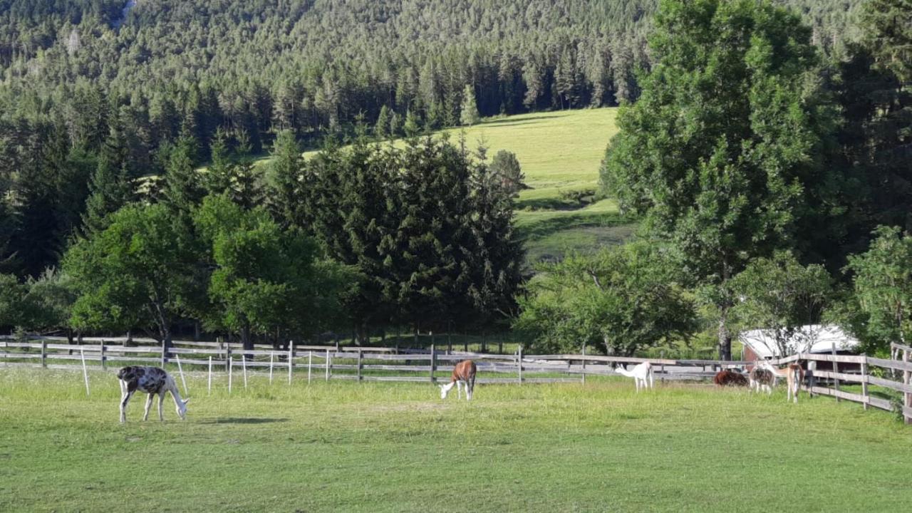 شقة Naturidyll Brunner Kostendorf المظهر الخارجي الصورة